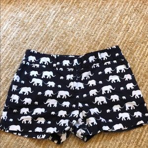 Loft navy blue elephant shorts